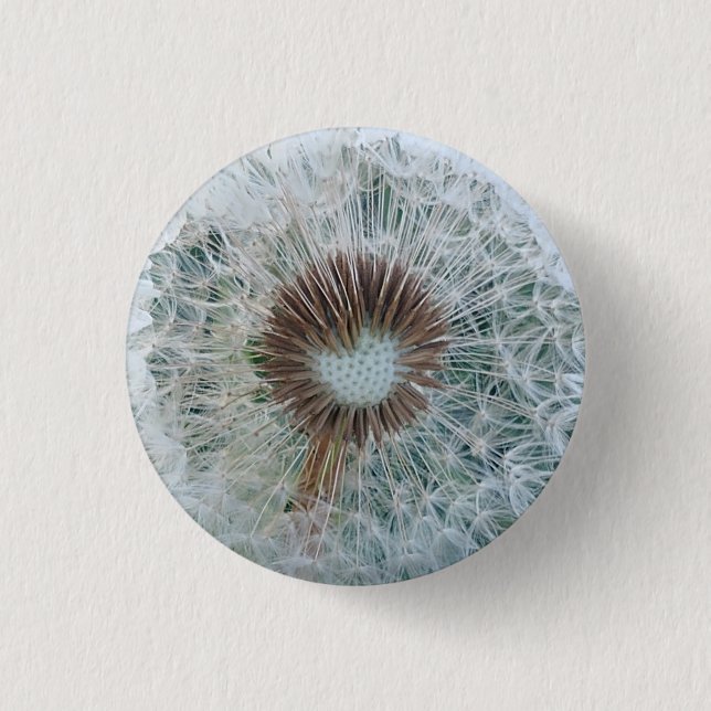 Badge Rond 2,50 Cm Joli Dandelion blanc (Devant)
