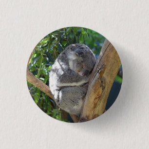 Badge Rond 2,50 Cm Joli koala endormi dans un arbre