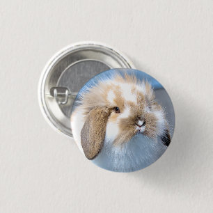 Badge Rond 2,50 Cm Joli lapin blanc et brun flamand