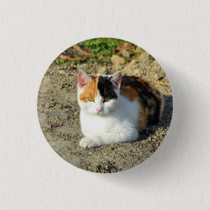 Badge Rond 2,50 Cm Jolie photo de chat Calico