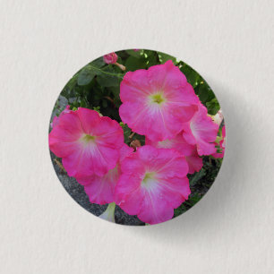 Badge Rond 2,50 Cm Jolie Pretty Rose Petunia