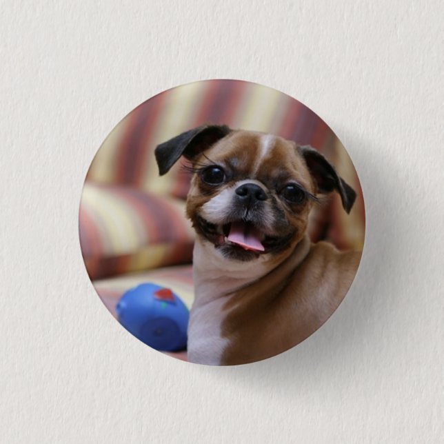 Badge Rond 2,50 Cm Joyeux chien avec jouet (Devant)