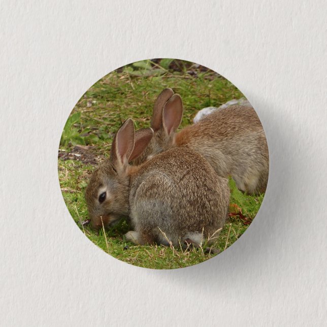 Badge Rond 2,50 Cm jumeaux identiques (Devant)