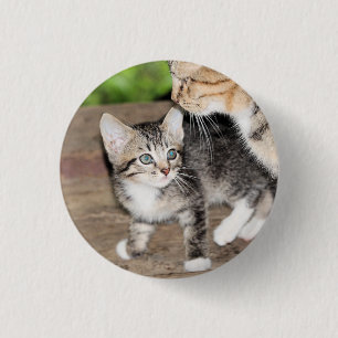 Badge Rond 2,50 Cm Kitten