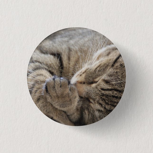 Badge Rond 2,50 Cm Kitty - Bouton (Devant)