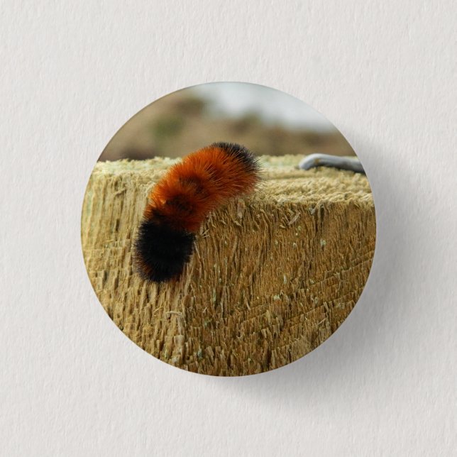 Badge Rond 2,50 Cm La fausse chenille (Devant)