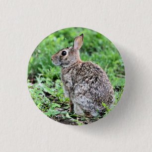 Badge Rond 2,50 Cm Lapin