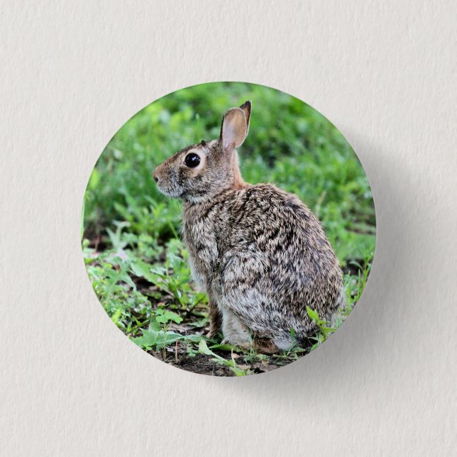Badge Rond 2,50 Cm Lapin (Devant)