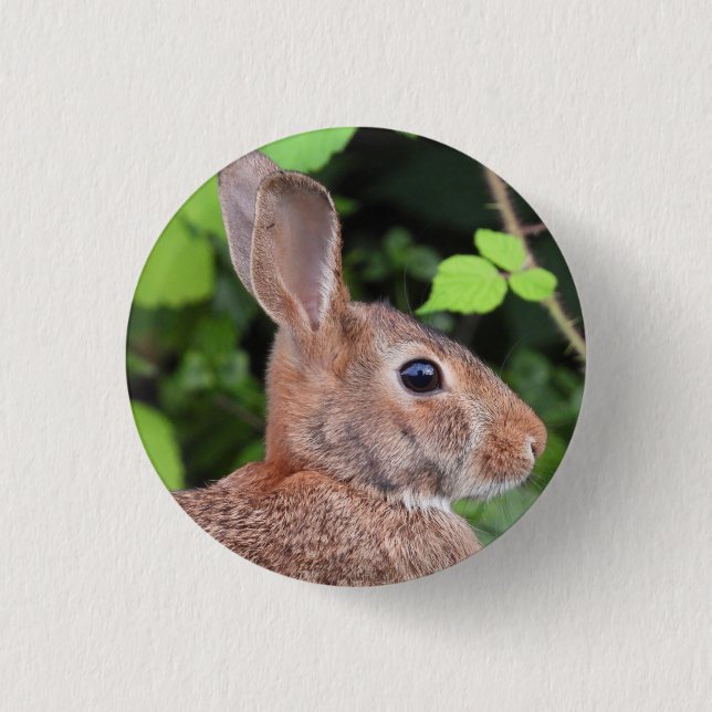 Badge Rond 2,50 Cm Lapin sauvage (Devant)