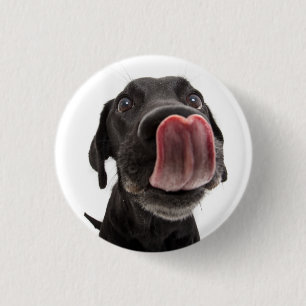 Badge Rond 2,50 Cm Le Labrador Noir se lâche le nez