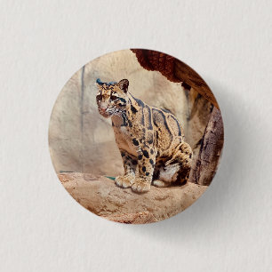 Badge Rond 2,50 Cm léopard nébuleux image nature faune exotique
