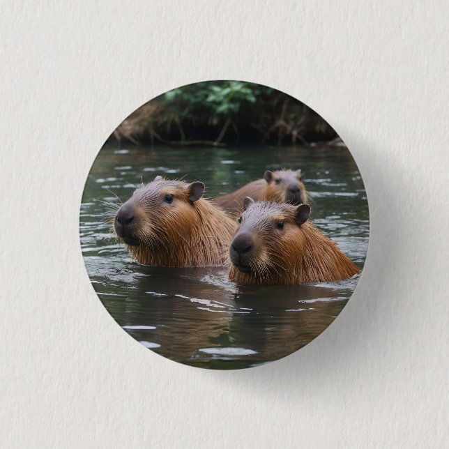 Badge Rond 2,50 Cm Les capybaras nagent dans la rivière,  (Devant)