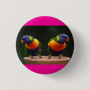 Badge Rond 2,50 Cm les oiseaux sont mignons 