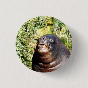 BADGE ROND 2,50 CM LION DE MER
