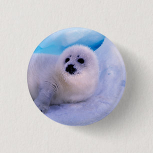 Badge Rond 2,50 Cm Little Harp Seal Pup Covered in Snowflakes