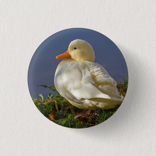 Badge Rond 2,50 Cm Little White Duck (Devant)