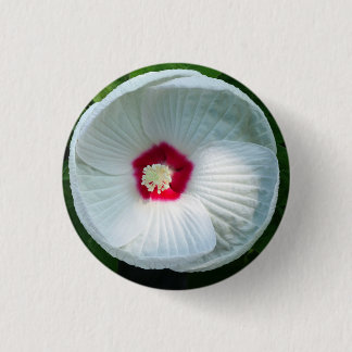 Badge Rond 2,50 Cm Luna Hibiscus