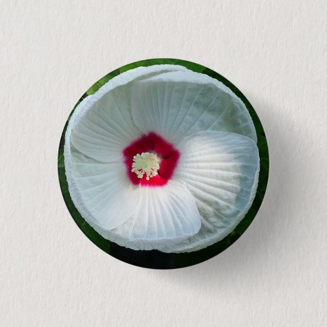 Badge Rond 2,50 Cm Luna Hibiscus (Devant)