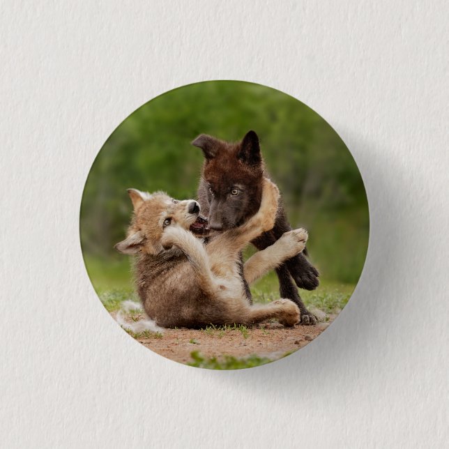 Badge Rond 2,50 Cm Luttes de louveteaux gris (Devant)