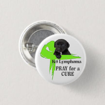 Lymphome canin - Morsures cancéreuses