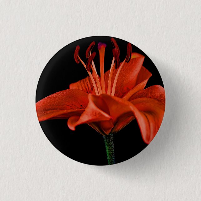 Badge Rond 2,50 Cm Lys Rouge Sur Fond Noir (Devant)