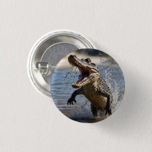 Badge Rond 2,50 Cm Mâchoires effrayantes : Crocodile australien sauta