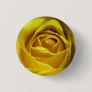 Badge Rond 2,50 Cm Magnifique image macro rose jaune
