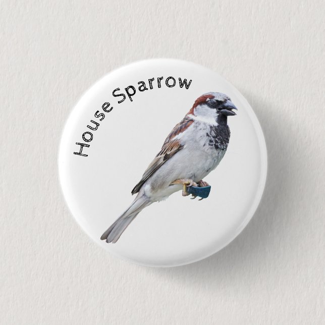 Badge Rond 2,50 Cm Maison Sparrow (Devant)