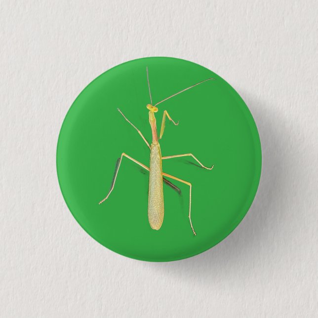 Badge Rond 2,50 Cm Mantis sans mouvement, (Devant)