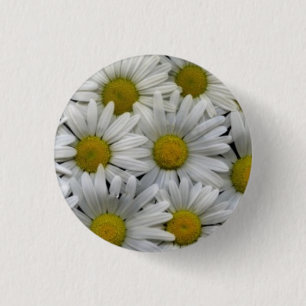 Badge Rond 2,50 Cm Marguerites blanches
