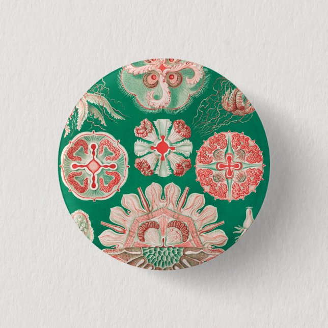 Badge Rond 2,50 Cm Méduse, Discomedusae par Ernst Haeckel (Devant)