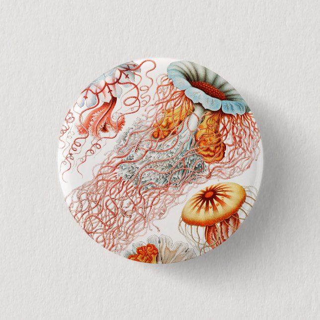 Badge Rond 2,50 Cm Méduse, Discomedusae par Ernst Haeckel (Devant)