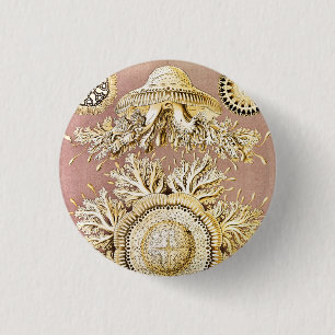 Badge Rond 2,50 Cm Méduses, Discomedusae par Ernst Haeckel
