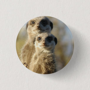 Badge Rond 2,50 Cm Meerkat