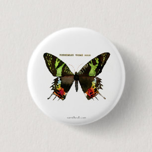 Badge Rond 2,50 Cm Mite : Mite de coucher du soleil de Madagascan