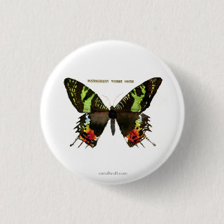 Badge Rond 2,50 Cm Mite : Mite de coucher du soleil de Madagascan
