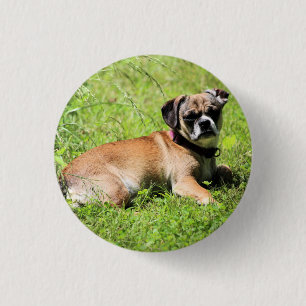 Badge Rond 2,50 Cm Molly