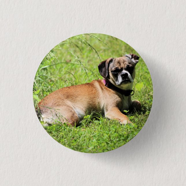 Badge Rond 2,50 Cm Molly (Devant)
