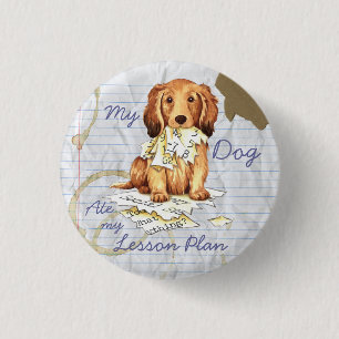Badge Rond 2,50 Cm Mon Dachshund LonghEI Mangé mon plan de leçon