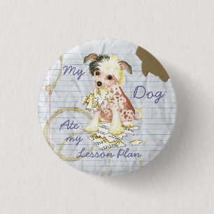 Badge Rond 2,50 Cm Mon plan de leçons pour les Chinois arrêtés