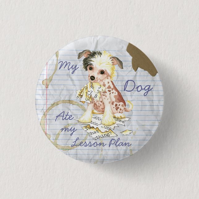 Badge Rond 2,50 Cm Mon plan de leçons pour les Chinois arrêtés (Devant)
