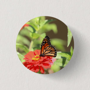 Badge Rond 2,50 Cm Monarque d'octobre