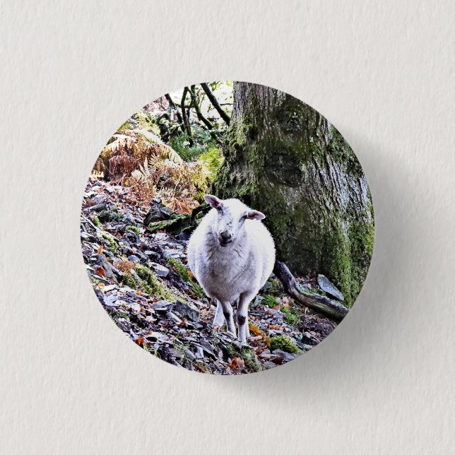 BADGE ROND 2,50 CM MOQUETTE (Devant)