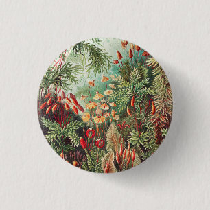 Badge Rond 2,50 Cm Mosses, Muscinae Laubmoose par Ernst Haeckel