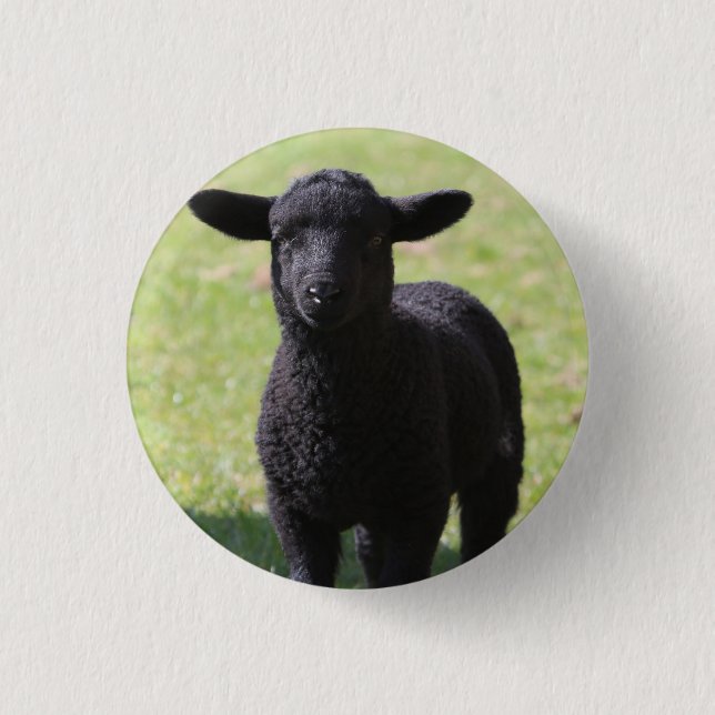 Badge Rond 2,50 Cm Mouton noir - Bouton (Devant)