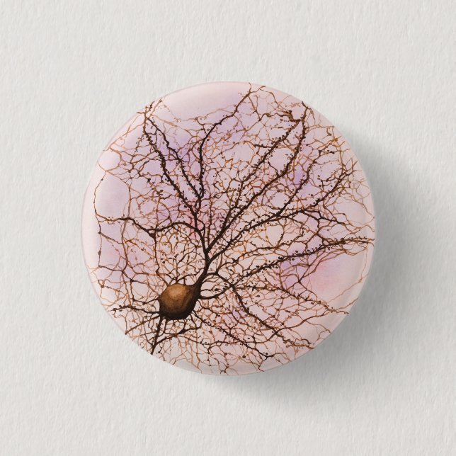 Badge Rond 2,50 Cm Neurone de Hippocampal - bouton et Pin (Devant)