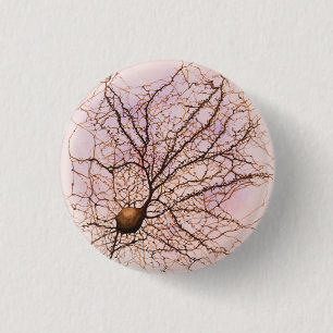 Badge Rond 2,50 Cm Neurone de Hippocampal - bouton et Pin