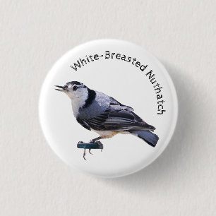 Badge Rond 2,50 Cm Nuthatch à poitrine blanche