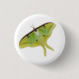 Badge Rond 2,50 Cm Oeuvre de Luna Moth en couleur vive