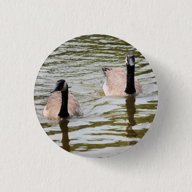 Badge Rond 2,50 Cm Oie (Devant)